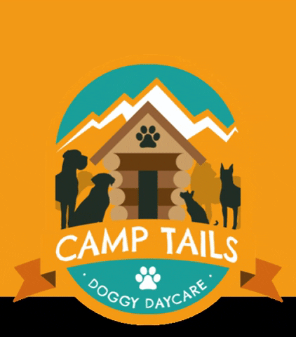 Camptails dog daycare doggydaycare camptails we make dogs happy GIF