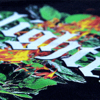 enlightedclothing plant vaporwave enlightedclothing GIF