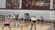 north dakota state bison GIF by NDSU Athletics