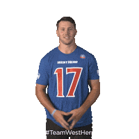 Buffalo Bills Sticker by West Herr