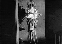 buster keaton GIF by Maudit