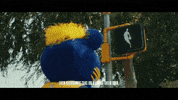 National Basketball Association Sport GIF by NBA