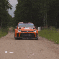 Stop Rallying GIF by FIA European Rally Championship