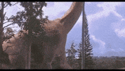GIF by Josni B. 