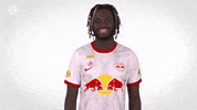 Red Bull Sport GIF by FC Red Bull Salzburg