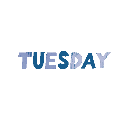 Taco Tuesday Sticker by Coins And Connections