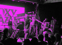 Excited Foxy Shazam GIF by wade.photo