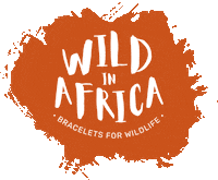 Orange Africa Sticker by Wild In Africa®