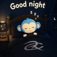 Good Night GIF by Respective