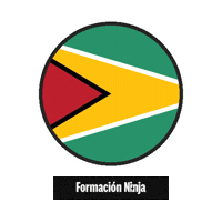 Flag Bandera Sticker by Formación Ninja