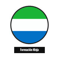 Sierra Leone Flag Sticker by Formación Ninja