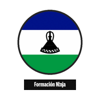Lesotho Flag Sticker by Formación Ninja