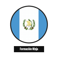 Flag Bandera Sticker by Formación Ninja
