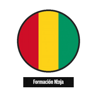 Flag Bandera Sticker by Formación Ninja