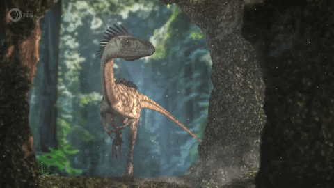 Dinosaur Eons GIF by PBS Digital Studios
