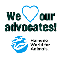 Tafa Sticker by Humane World for Animals