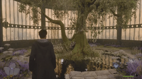 ahmadhassan62230749274948b8aef2b29d398a4f39 giphyupload GIF