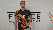 GIF by Fenice Pallavolo Roma