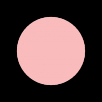 haydenoliviabridal haydenoliviabridal GIF