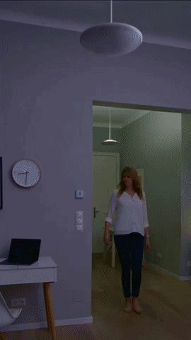 Olli0103 giphyupload GIF