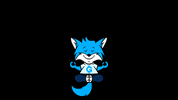 Geldhelden_org happy blue money fox GIF