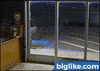 GIF by Demic