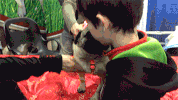 dog GIF by Westminster Kennel Club