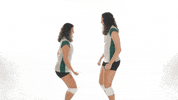 Huntington University Volleyball GIF by FDN Sports