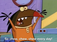 nickrewind nicksplat angry beavers GIF