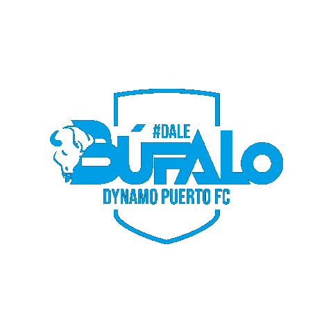 Dpfc Sticker by FSDK