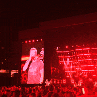 cma fest 2016 GIF by CMA Fest: The Music Event of Summer
