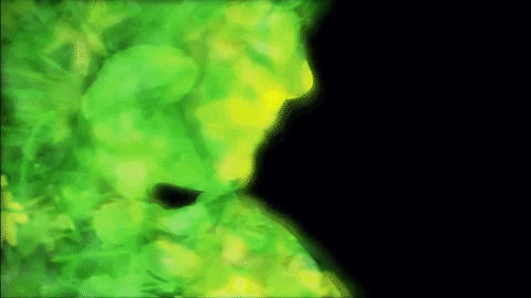 Swoon GIF by The Chemical Brothers