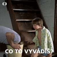 Co What GIF