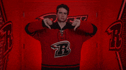 Thumbsdown GIF by Rapid City Rush
