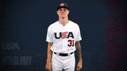 Pro GIF by USA Baseball