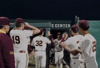Asu Baseball GIF