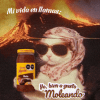 Comida Molito GIF by Mole Doña María