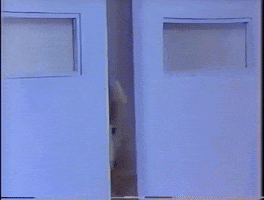 laura leon 90s GIF