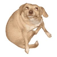 kermit STICKER