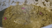 viceland GIF by HUANG'S WORLD