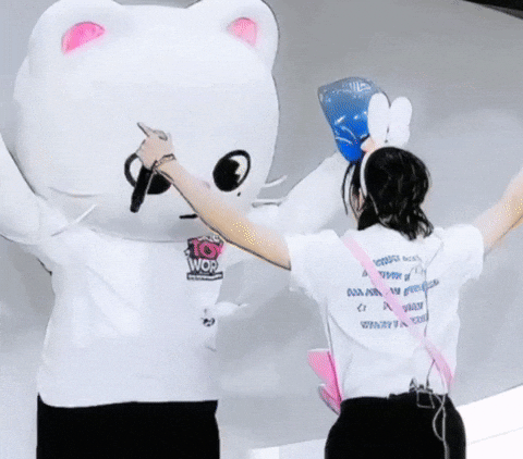 Skzoo GIF