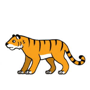 tiger GIF