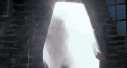 The Fly Jeff GIF by GFFF - Galician Freaky Film Festival