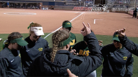 north dakota state bison GIF by NDSU Athletics