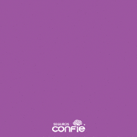 Good Vibes GIF by Seguros Confie