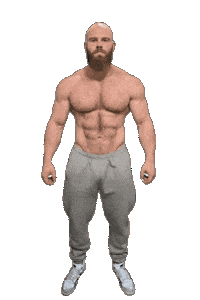 Bear Muscle Sticker by Database數據