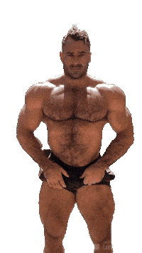 Gay Bear Sticker by Database數據