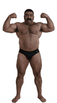 Gay Bear Sticker by Database數據