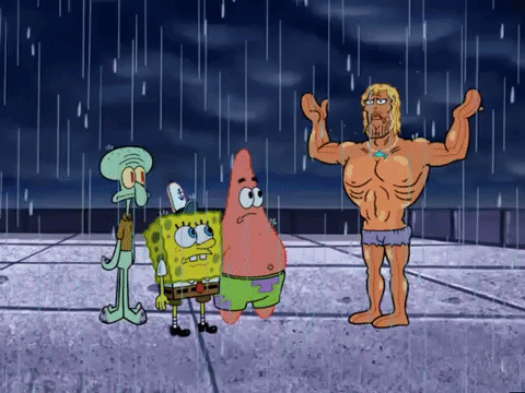 season 6 GIF by SpongeBob SquarePants