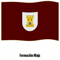 Bandera GIF by Formación Ninja